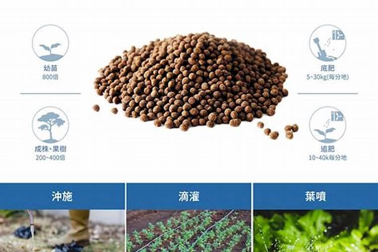 巧棵力水溶肥在芹菜上的效果如何？