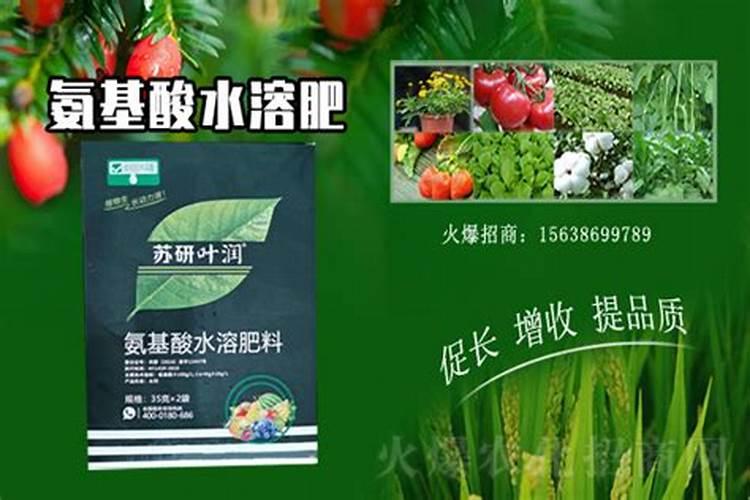安基酸水溶肥对果实的作用是什么