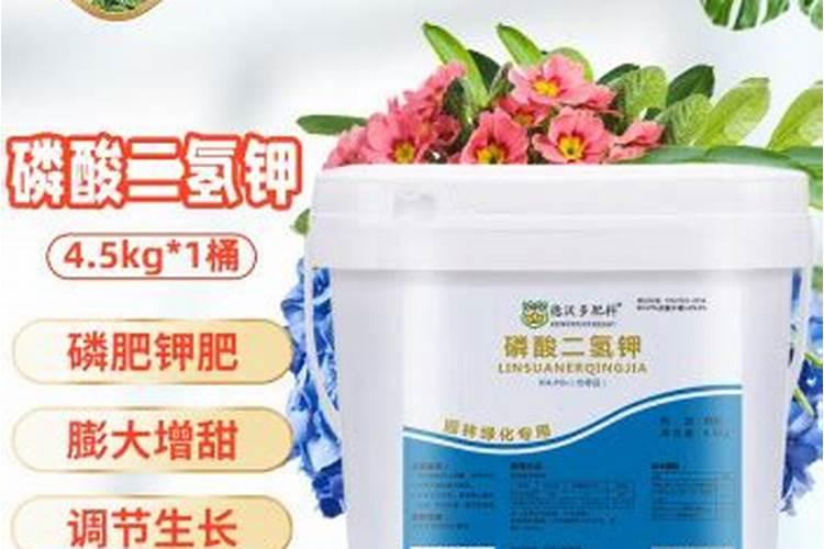 多肉植物能喷磷钾肥吗