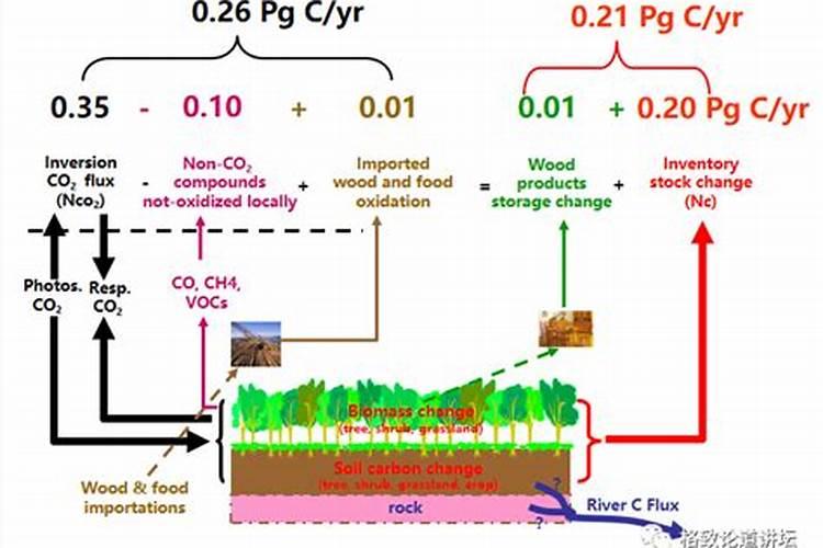 二氧化碳的施肥效应