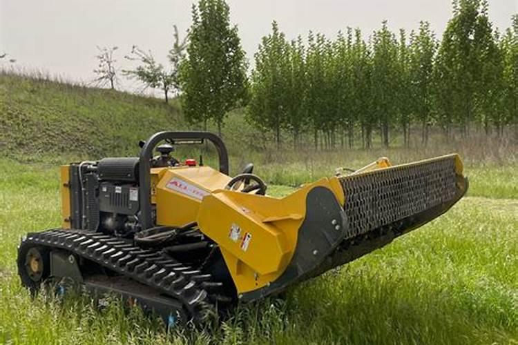 柳树发根后施什么肥料好