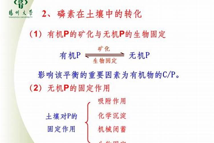 植物营养液的使用方法和注意事项