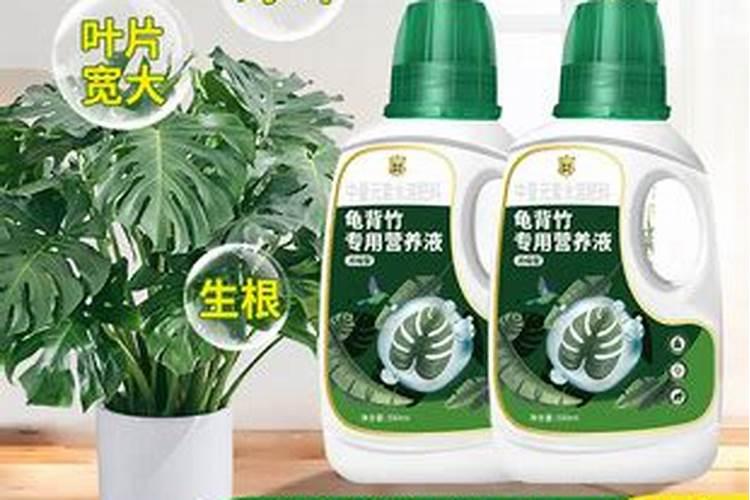 专用营养土可加拌泥沙吗？