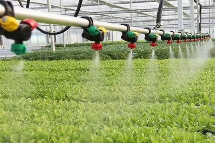 含钾的食物有哪些高的食物有哪些