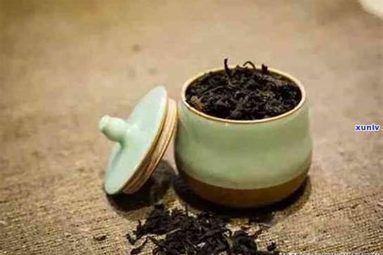 树根如何挖洞做花盆 养花注意事项整理