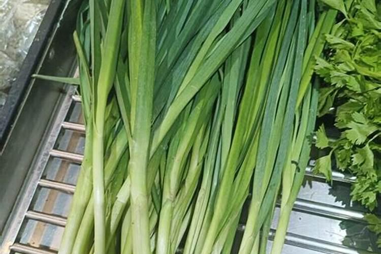 大蒜叶面肥喷什么肥最好