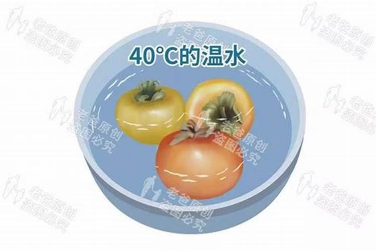 打什么药能让柿子色好