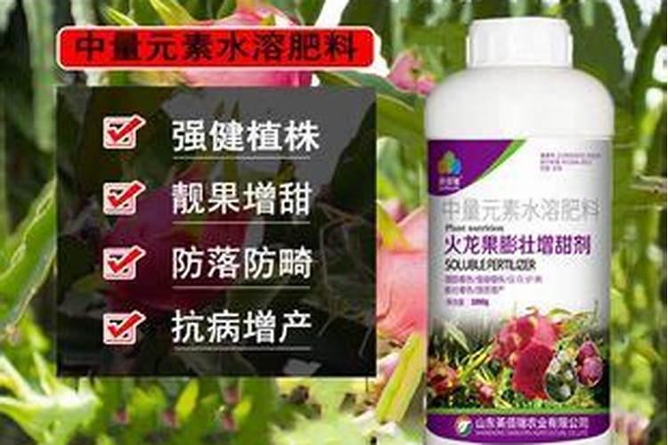 火龙果结果期能否施叶面肥？喷施时间