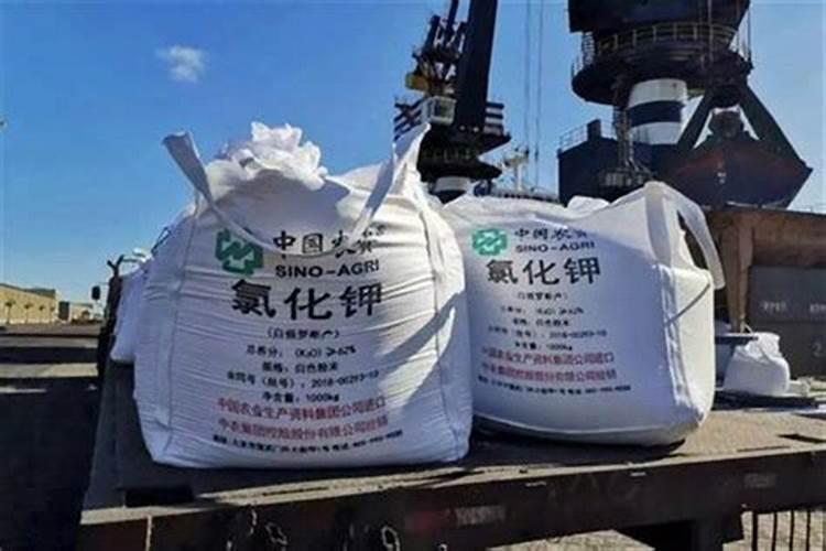 如何鉴别真假硫酸钾镁肥料