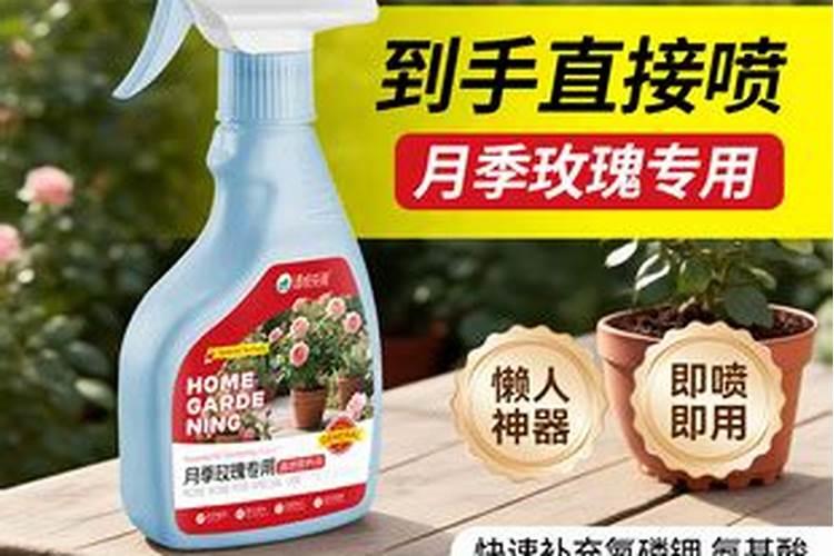 橡树果有什么作用的时间周期是多久