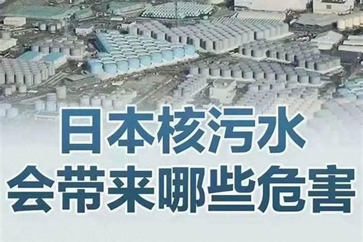 海洋鱼类现在还能吃吗