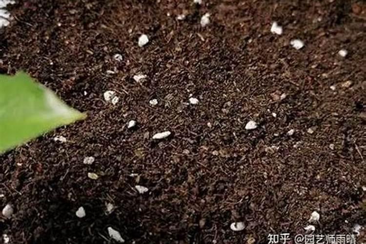 西瓜施肥时间和方法