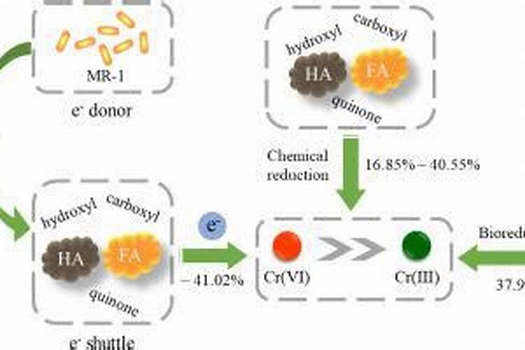 黄腐酸效果与腐植酸效果哪个好
