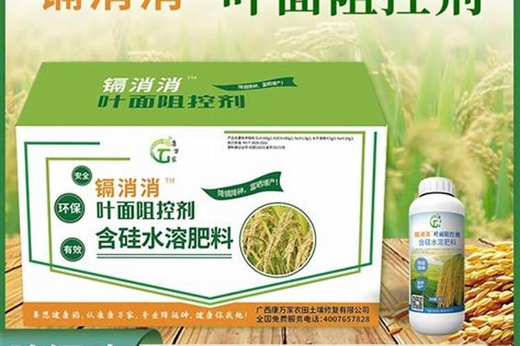 棉花能施用硅肥吗