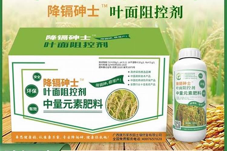 水稻缺硅要怎样救治？