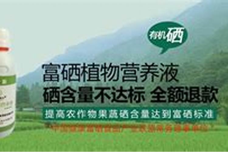 合肥生产哪些水果