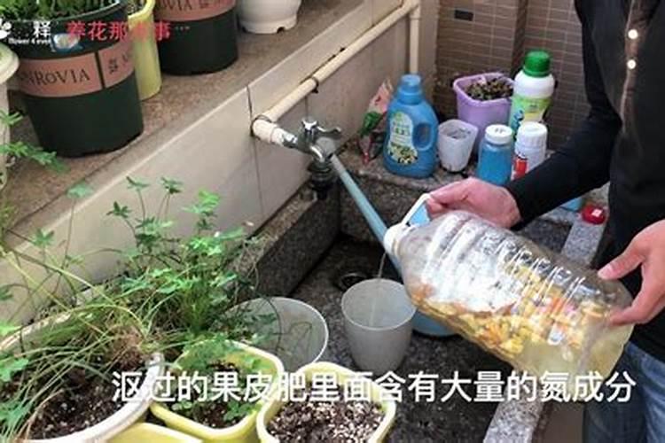 磷肥的沤制方法