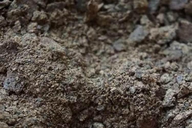 氯化胆碱用在根茎作物