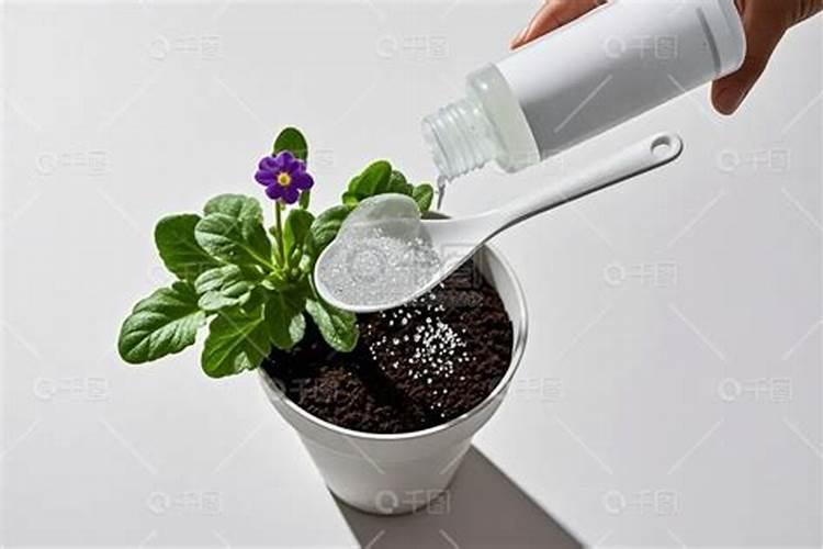 水稻叶面肥简介