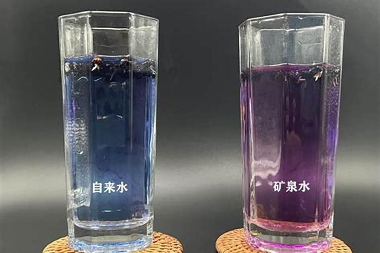 家里的这些厨房垃圾可以拿来养花