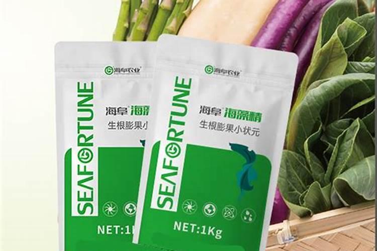 草莓海藻精稀释多少