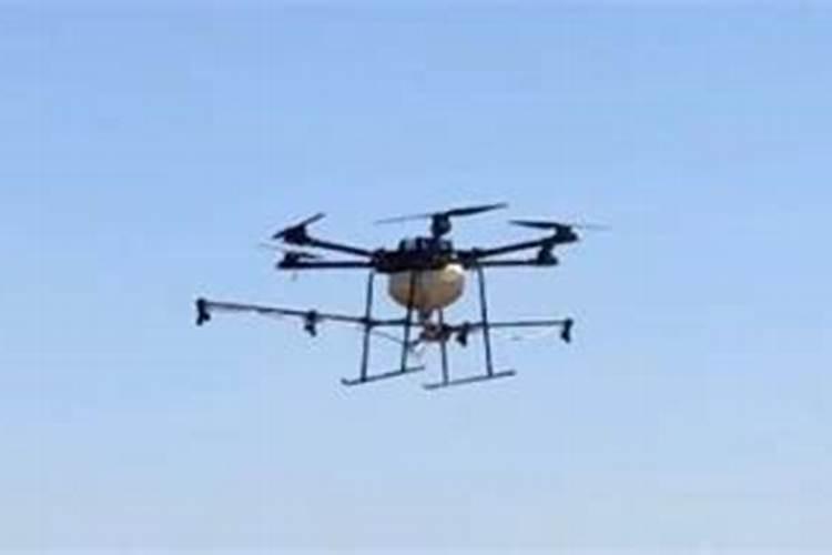 玉米苗后乐能和芸苔素合用吗