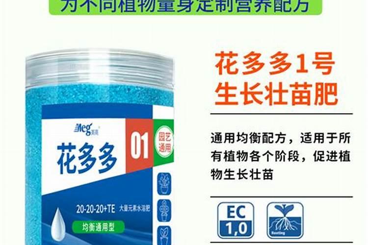 兰花用什么肥料好？