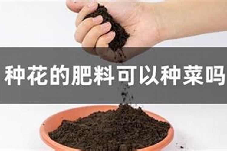 花卉肥料可以用于蔬菜吗