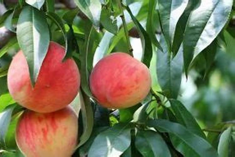 益多元益生菌要喝多久才会有改善？