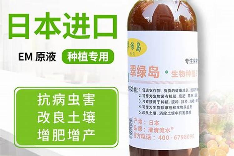 啤酒浇花的正确方法