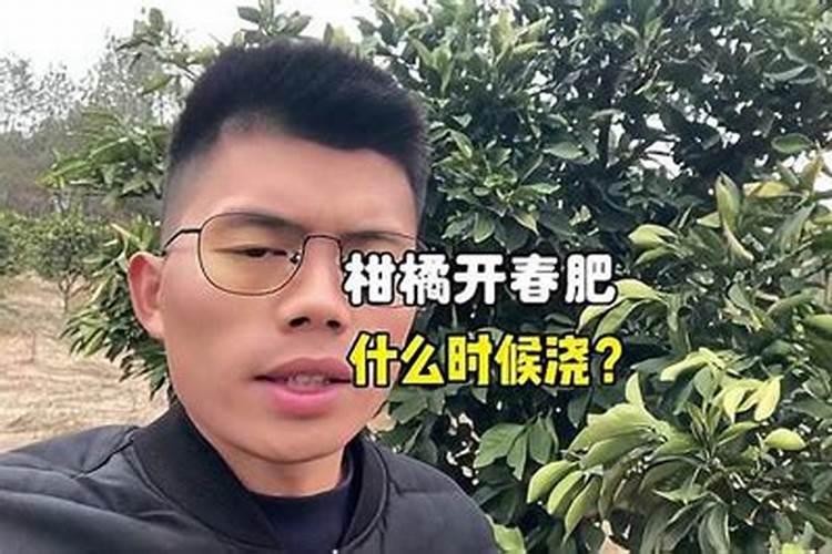 春季柑橘琳树发芽前可以喷施硼肥吗？