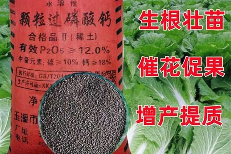 豆角怎么判断是否施过腐植酸钾