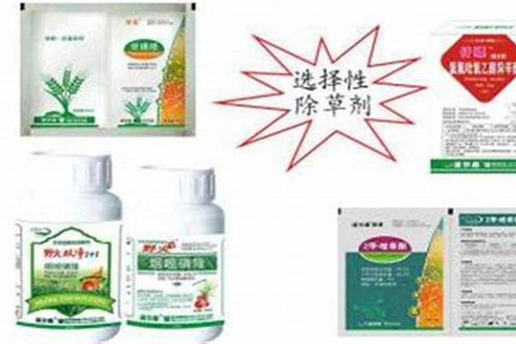 种植牧草需要什么肥料