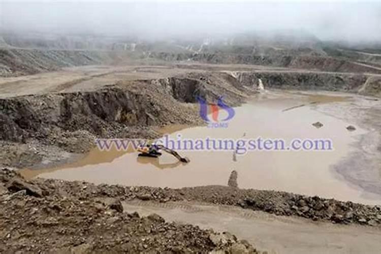 新能源汽车上游资源股龙头