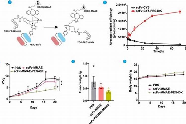 缺维生素B1的人应吃什么？