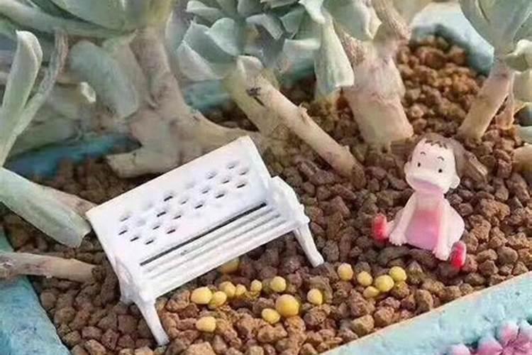 ...可以浇水溶肥吗,还是要等下次浇水时再选择不浇水直接浇水溶肥...