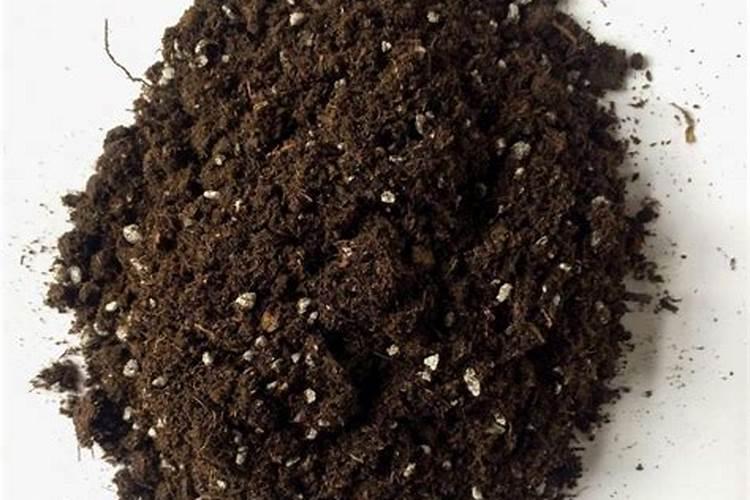 花卉怎么换盆？这样换开花都能压断枝了!