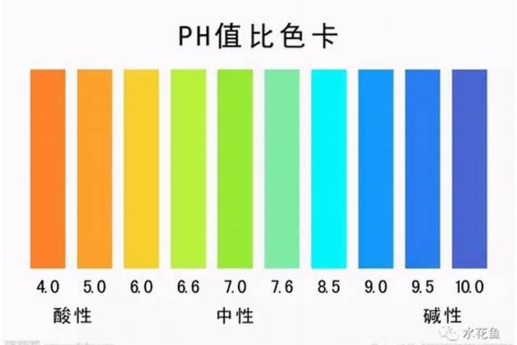 磷肥和钾肥尿素在肥水中使用顺序是什么