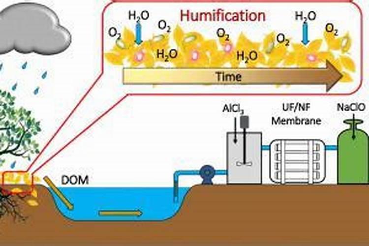 腐殖酸和腐植酸钠区别