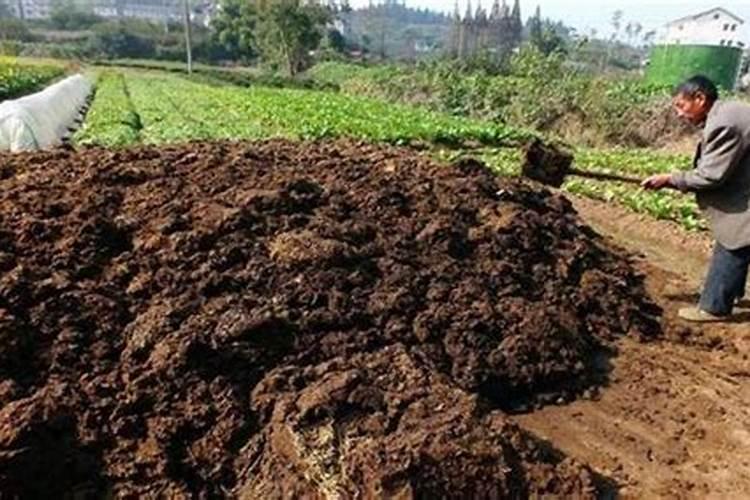 如何自制磷钾肥