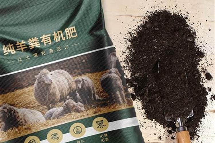 为什么草木灰被定义为有机肥？有机肥和无机肥怎么区分？