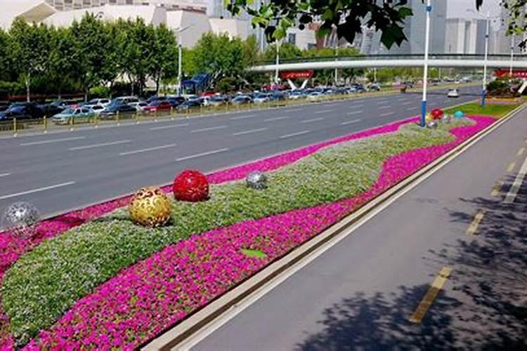 绿萝用什么肥料好