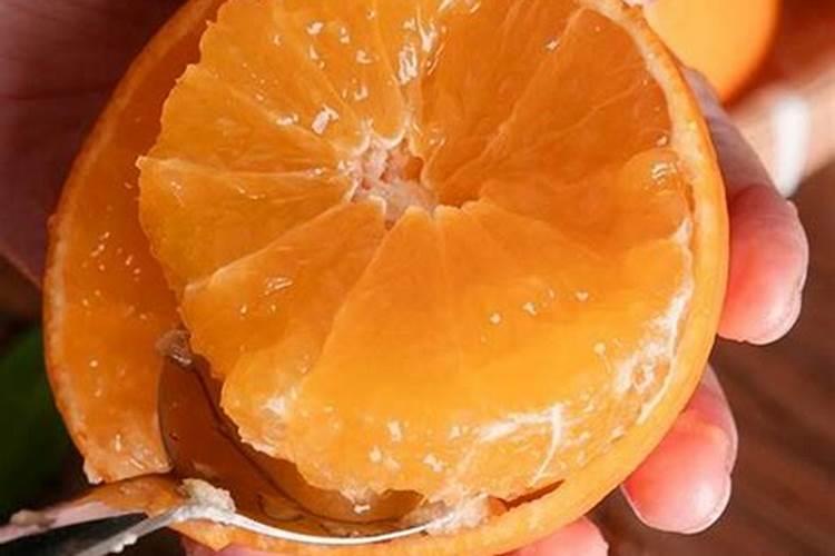 盆栽橘子用什么肥 盆栽橘子用的肥料是什么