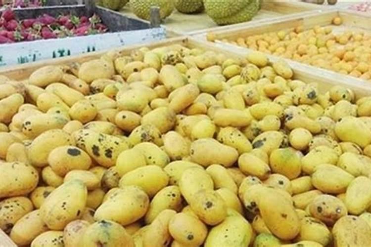 霉烂桔子 能做肥料吗？