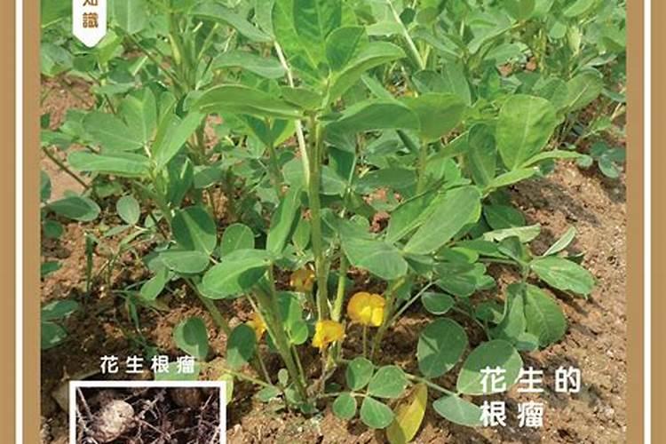 百香果的生长习性,一般亩产多少？