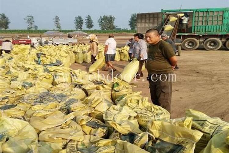 住商肥料多少钱一吨