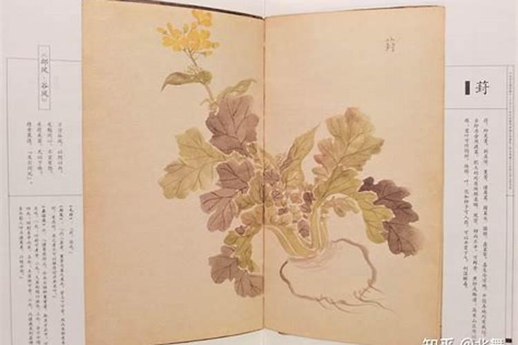 磷肥和钾肥能一起用吗