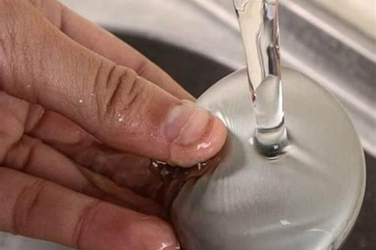 玫瑰花上有绿色的小虫怎么去除