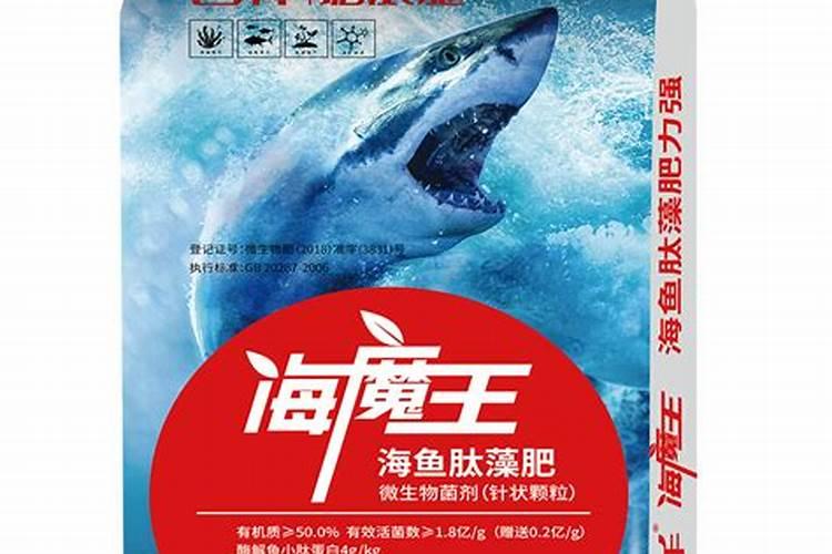 海洋里有哪些植物？