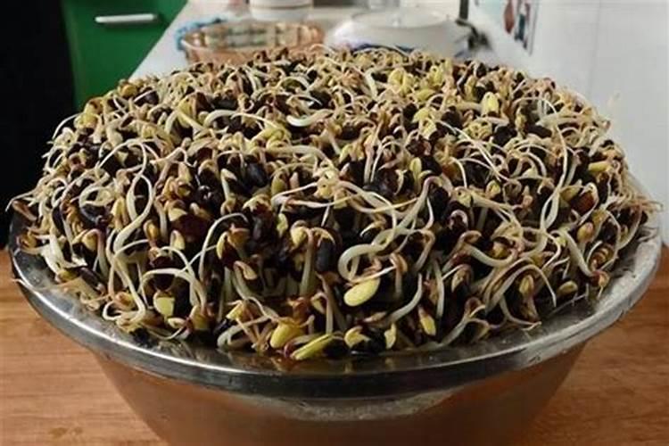 绿豆芽皮废物利用？